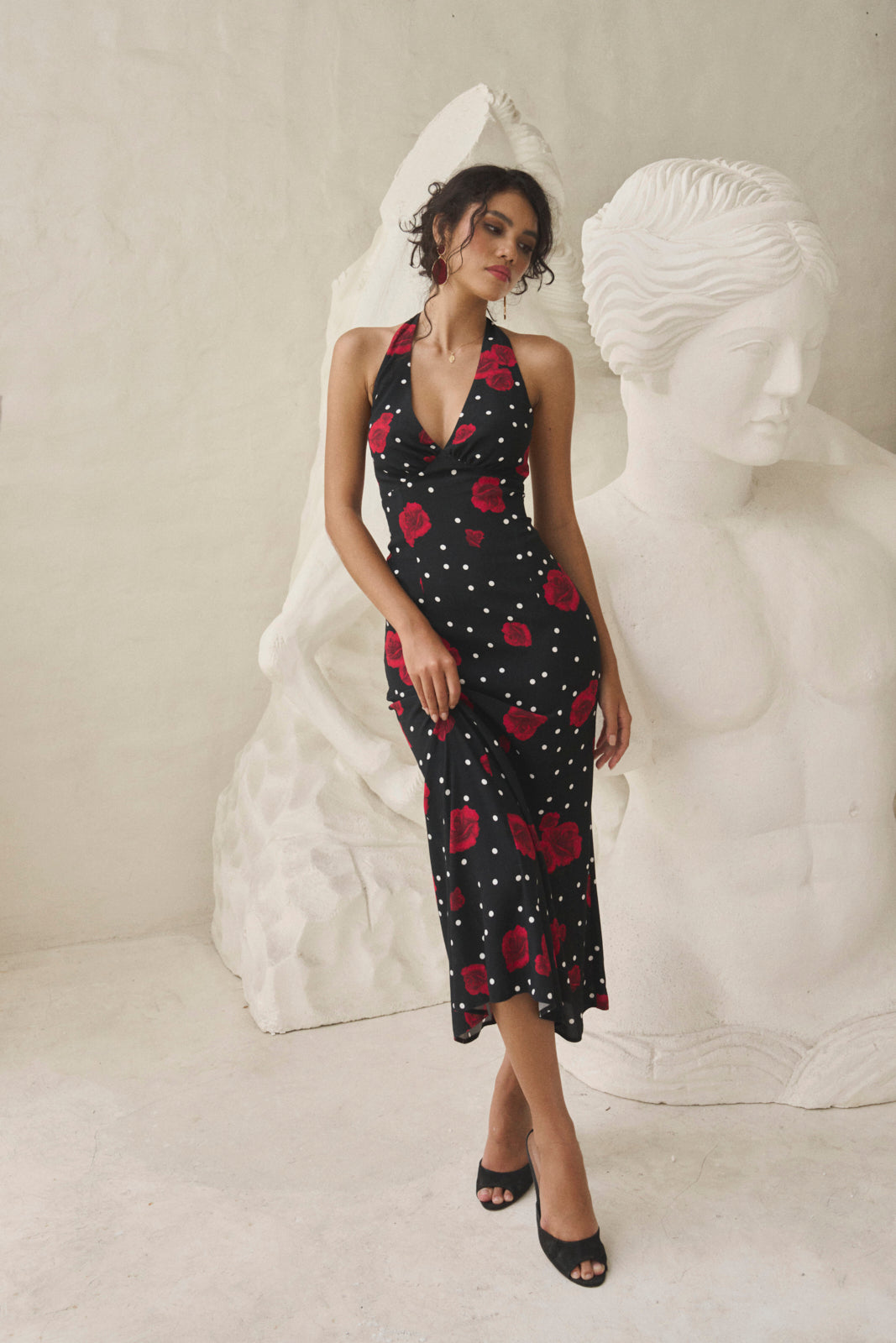 Daphne midnight dream